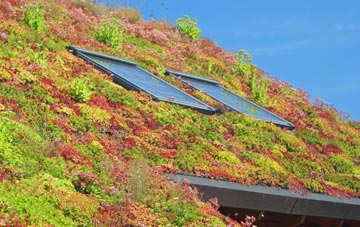 Newton St Loe living roof systems